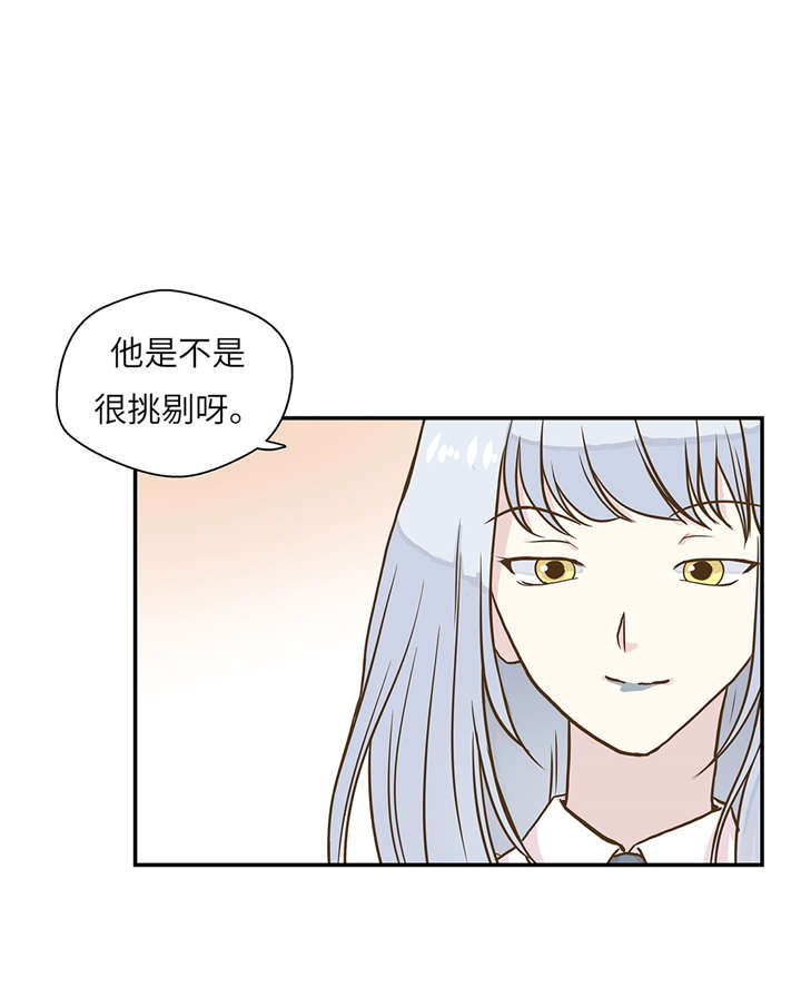 奇妙的动物主题课程漫画,第18章：开早会1图