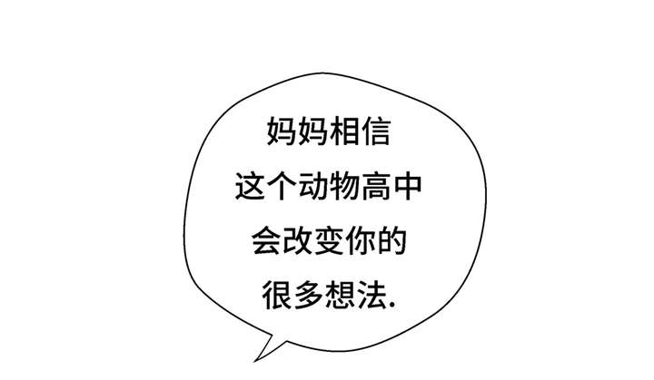 奇妙的动物主题课程漫画,第20章：漂亮的名字2图