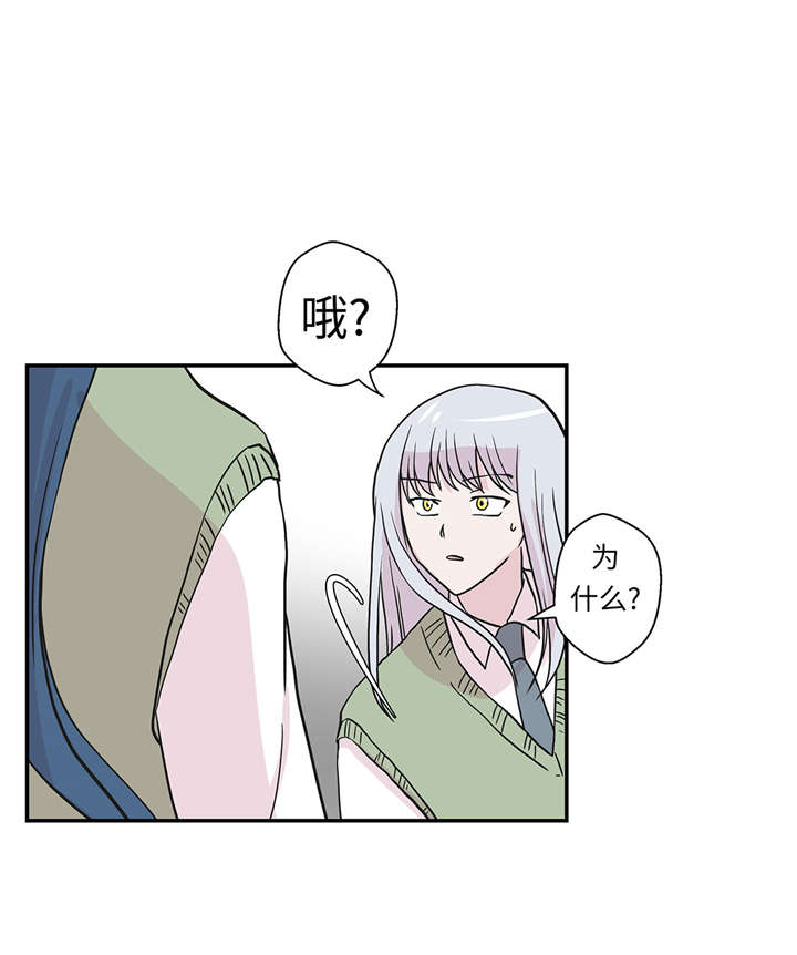 奇妙的动物主题课程漫画,第51章：科学部2图