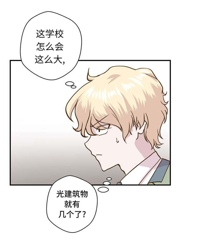 奇妙的动物主题课程漫画,第13章：惹事猪2图