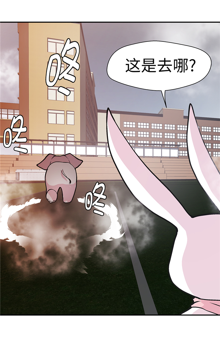 奇妙的动物主题课程漫画,第90章：你这只笨狗！1图