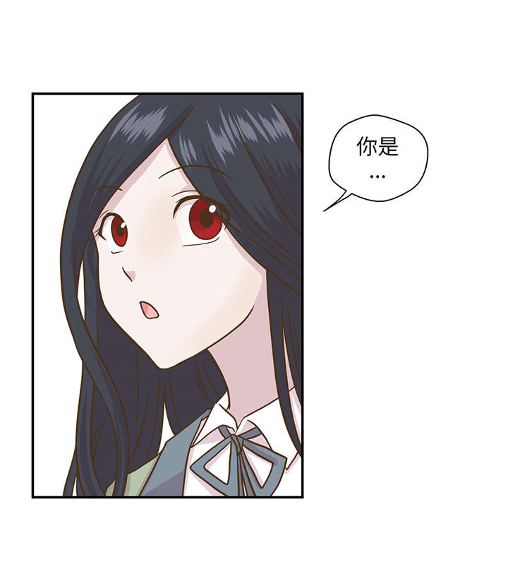 奇妙的动物主题课程漫画,第12章：一起回家1图