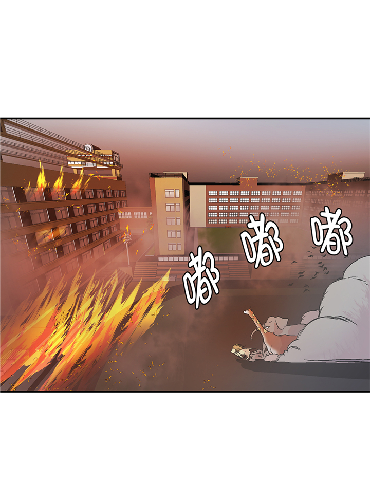 奇妙的动物主题课程漫画,第90章：你这只笨狗！2图