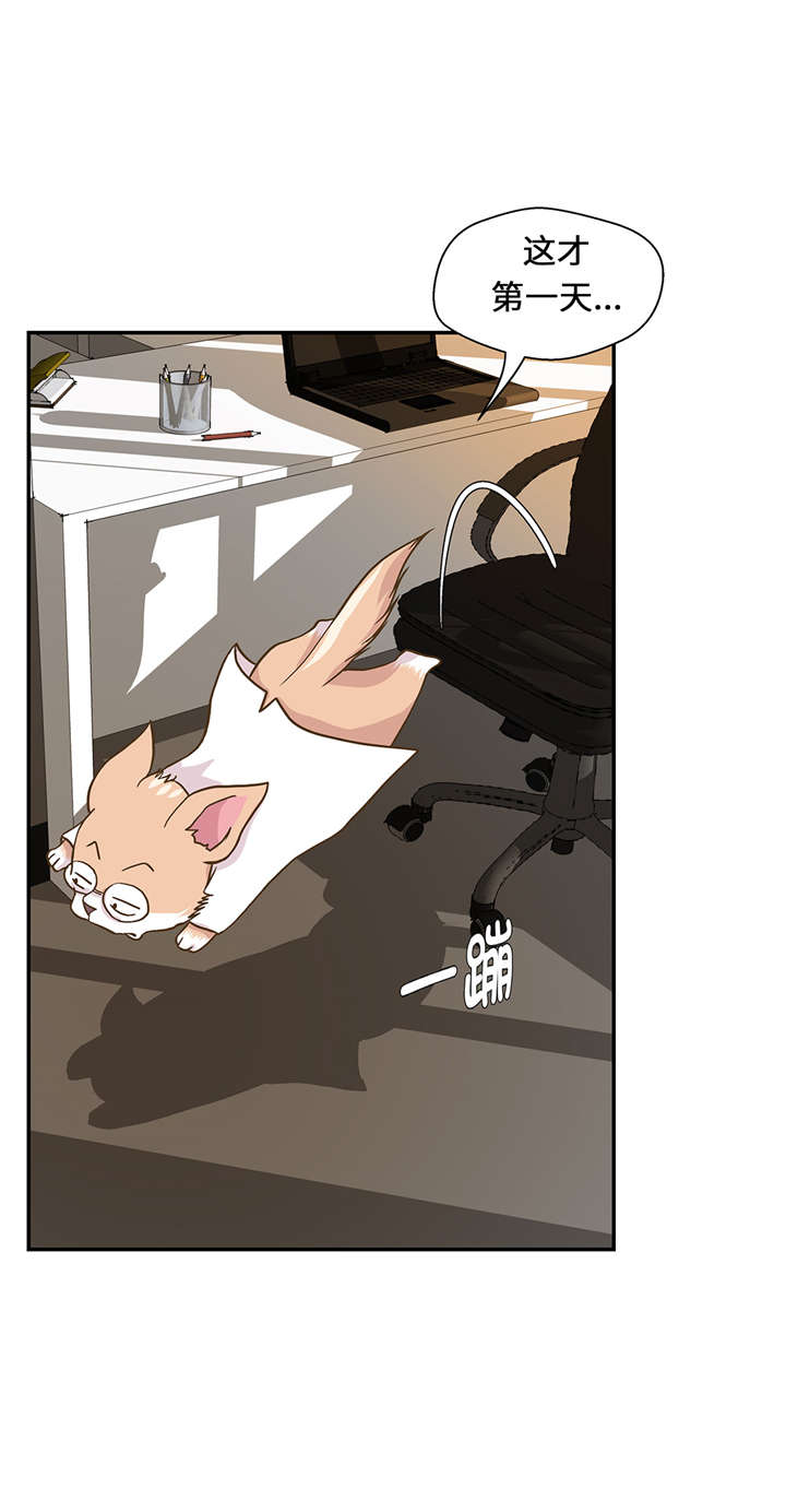 奇妙的动物主题课程漫画,第16章：狮子莱昂1图