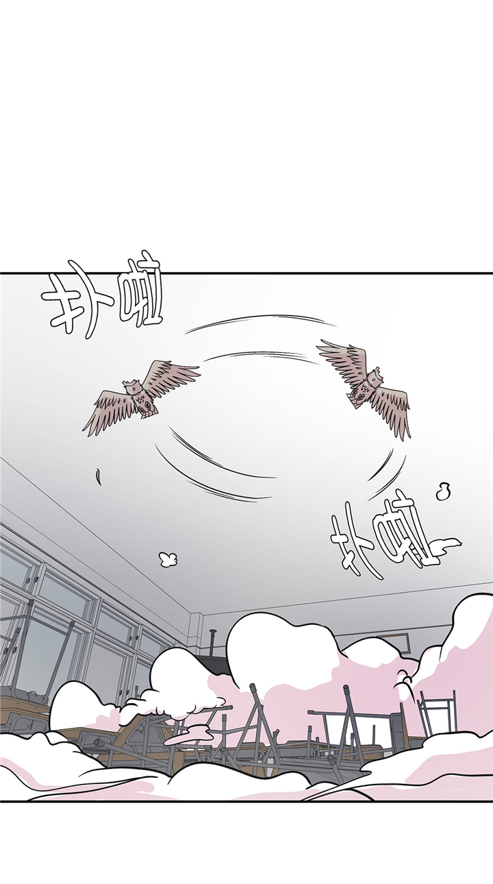 奇妙的动物主题课程漫画,第67章：摔倒1图