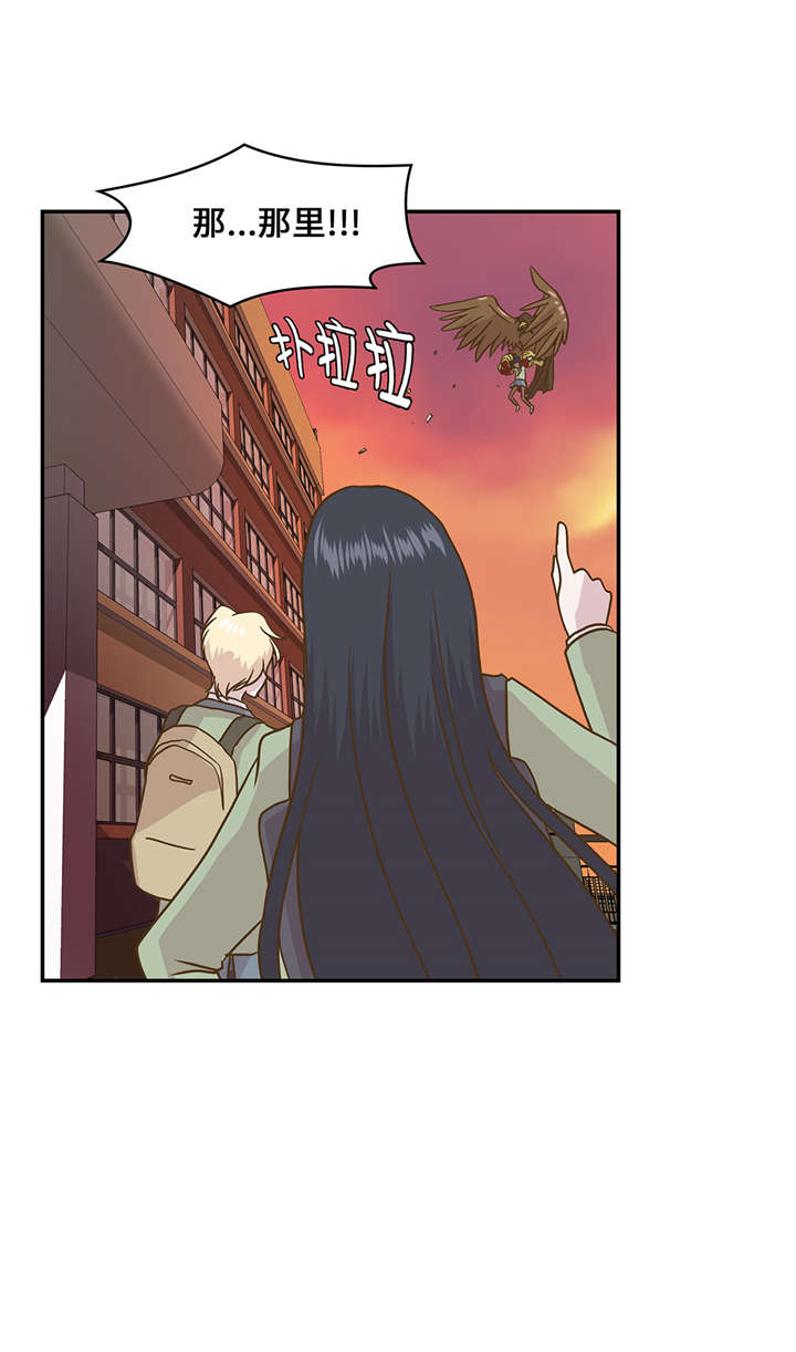 奇妙的动物主题课程漫画,第14章：不是动物1图