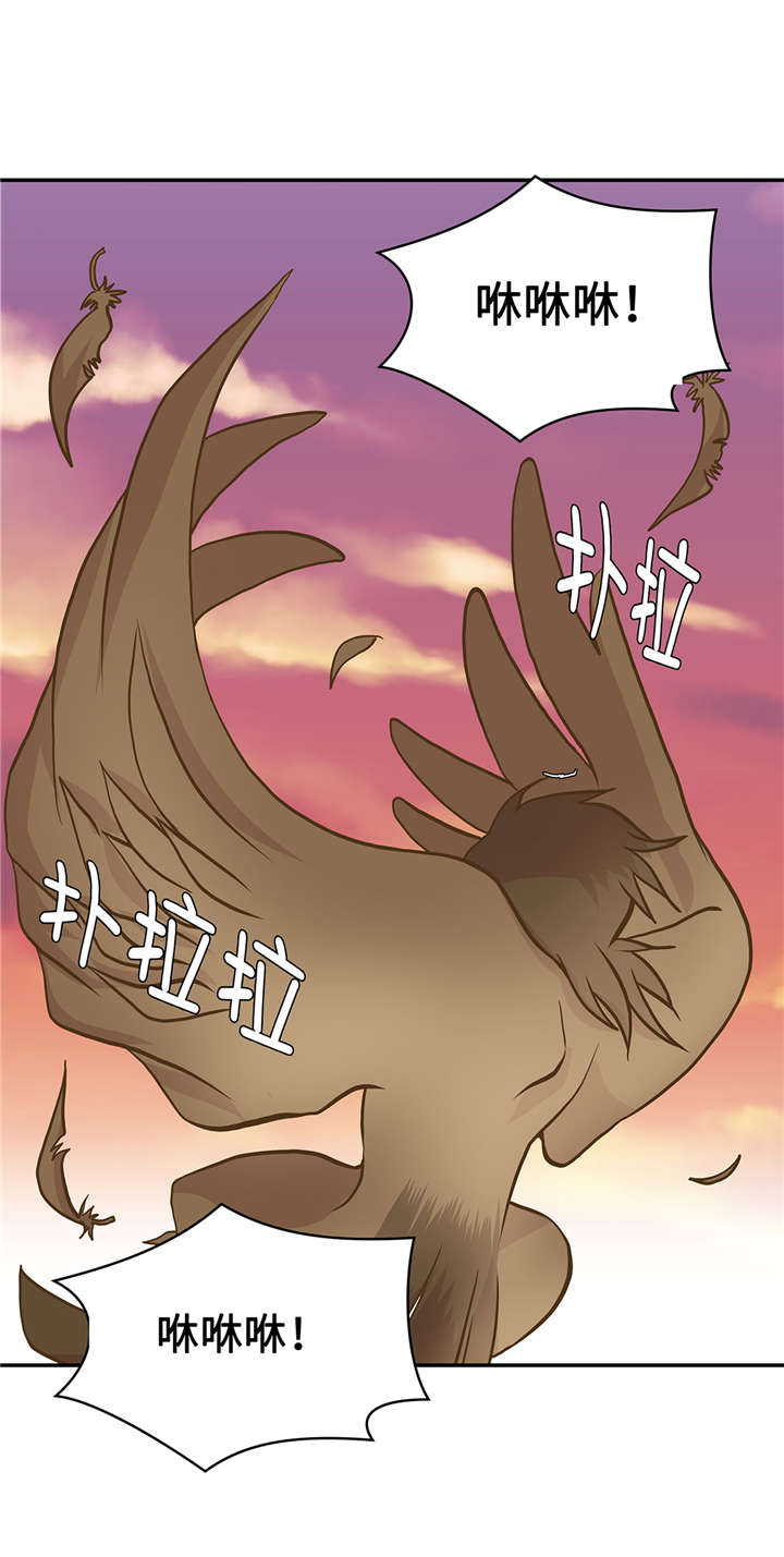 奇妙的动物主题课程漫画,第15章：什么都做不了2图