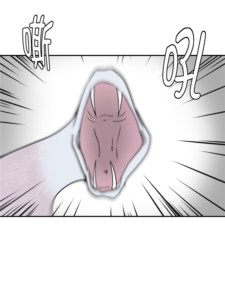 奇妙的动物主题课程漫画,第95章：大结局1图