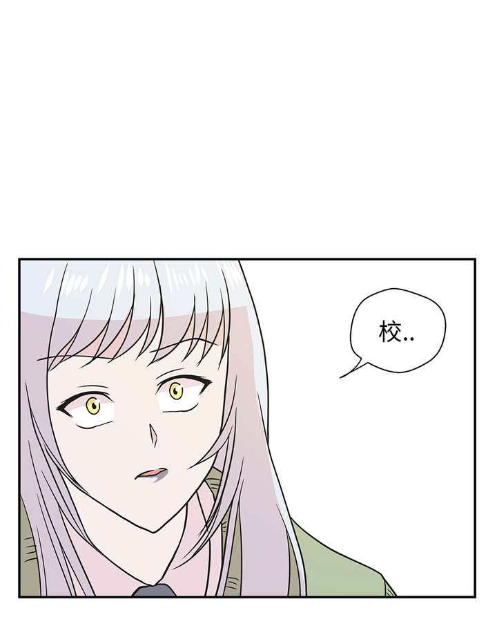 奇妙的动物主题课程漫画,第54章：歌舞剧2图