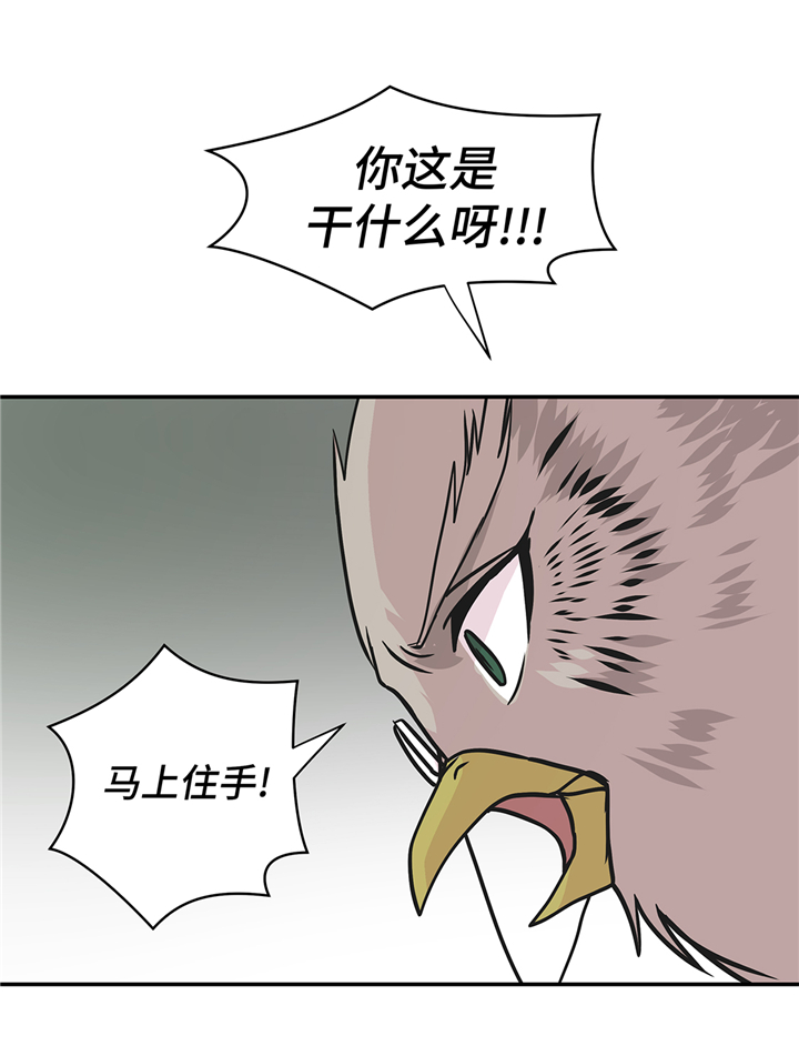 奇妙的动物主题课程漫画,第81章：会场袭击2图