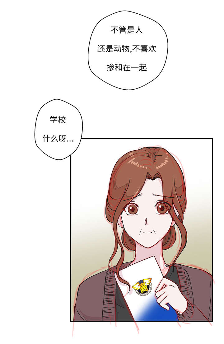 奇妙的动物主题课程漫画,第20章：漂亮的名字1图