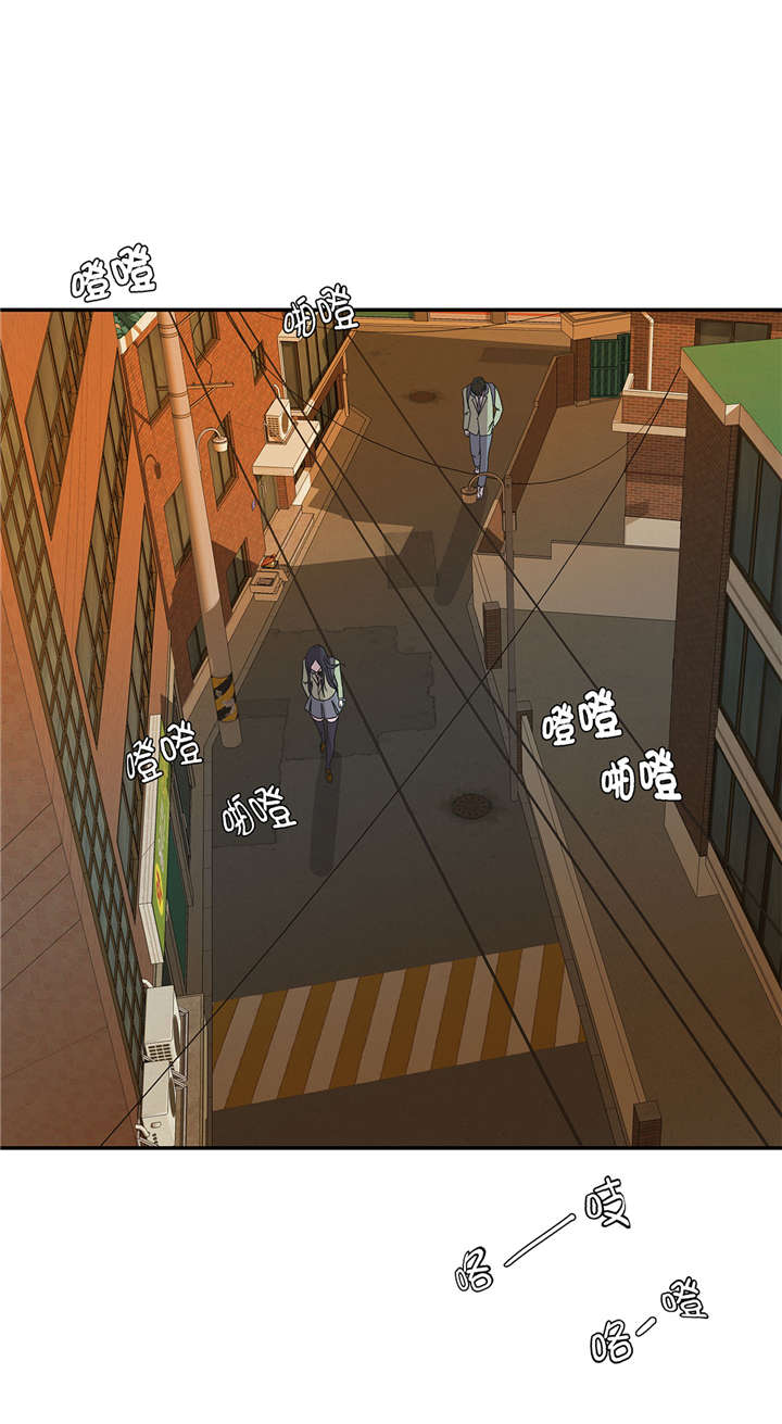 奇妙的动物主题课程漫画,第21章：有人跟踪2图