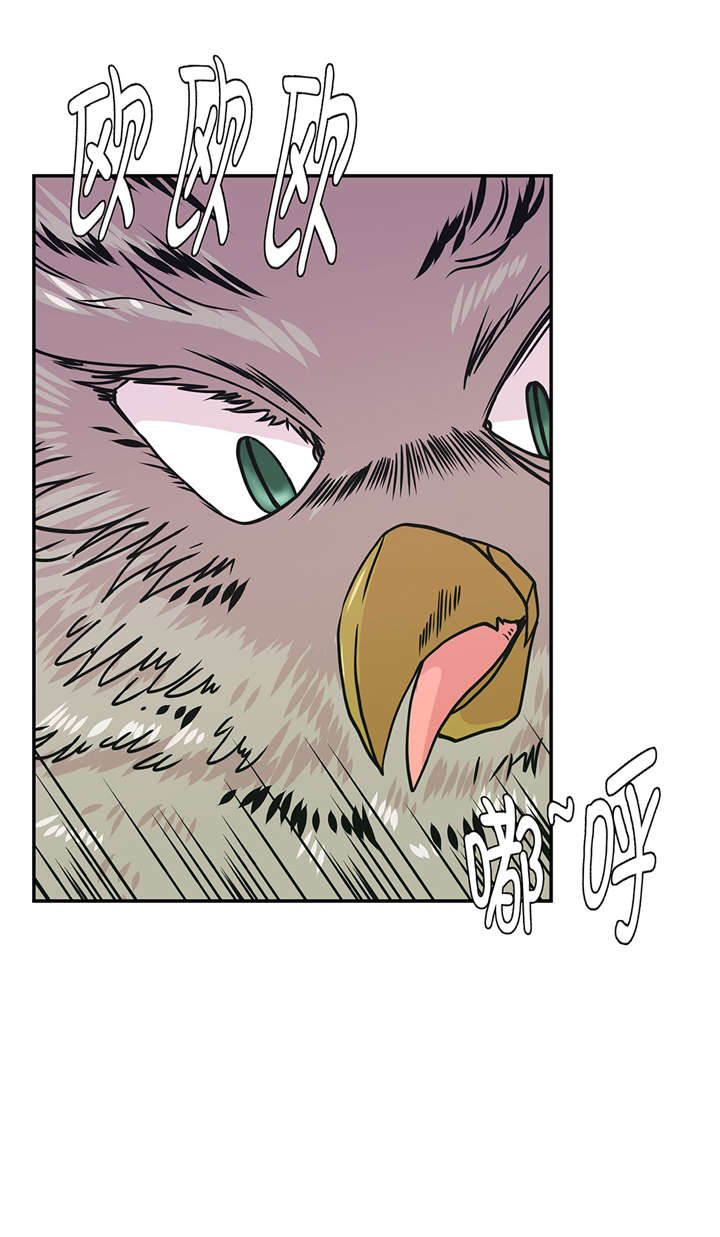 奇妙的动物主题课程漫画,第67章：摔倒1图