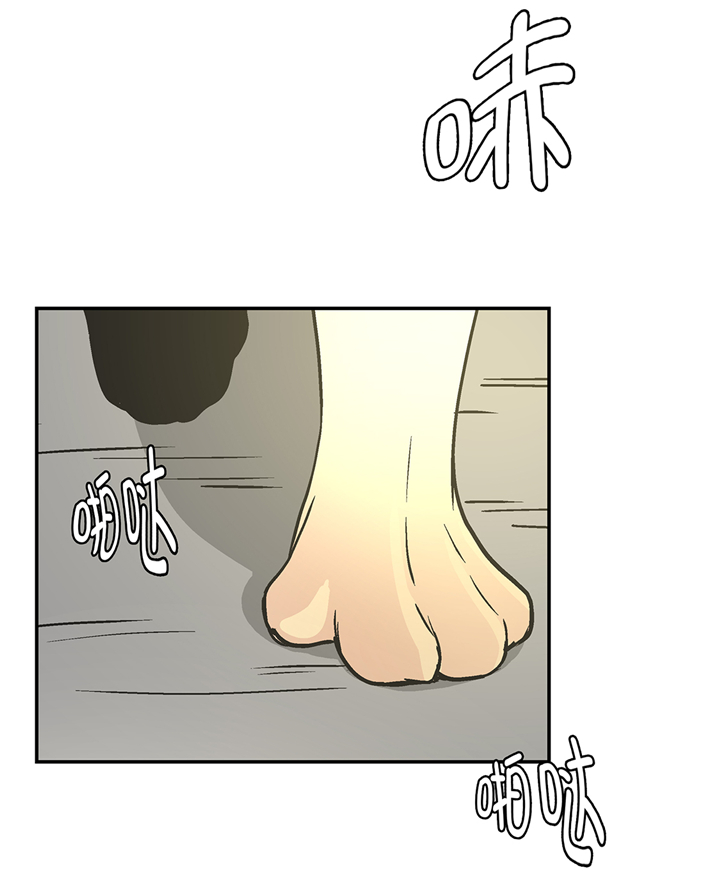 奇妙的动物主题课程漫画,第92章：你真傻2图