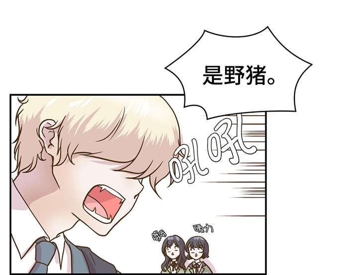 奇妙的动物主题课程漫画,第8章：展示能力吧(上)1图