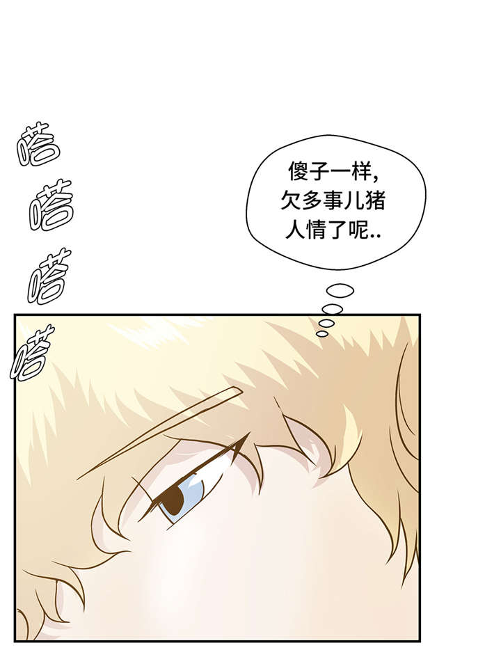 奇妙的动物主题课程漫画,第13章：惹事猪2图