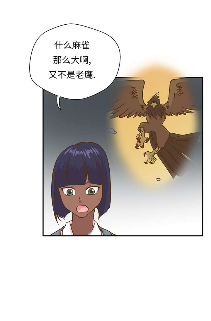 奇妙的动物主题课程漫画,第16章：狮子莱昂2图