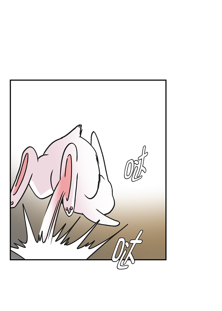 奇妙的动物主题课程漫画,第75章：真是搞笑2图