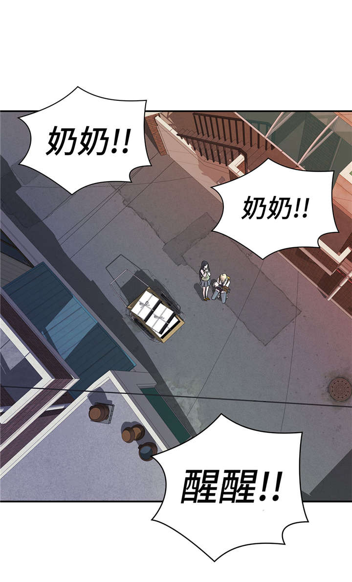 奇妙的动物主题课程漫画,第52章： 被杀之前1图