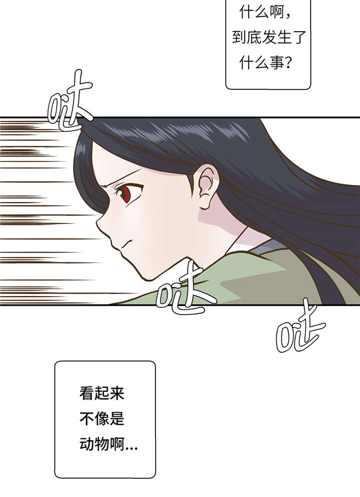 奇妙的动物高中漫画,第14章：不是动物1图