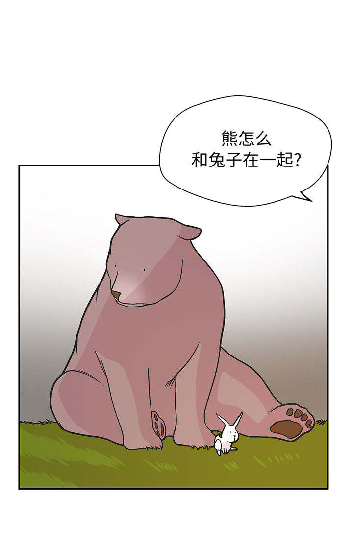 奇妙的动物主题课程漫画,第95章：大结局1图
