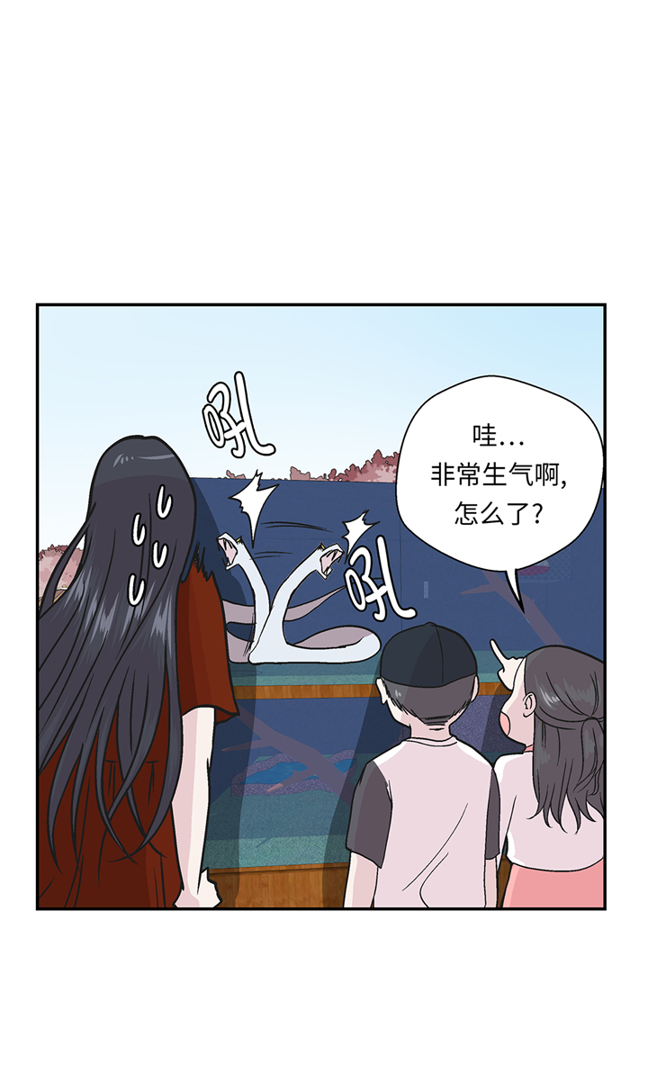 奇妙的动物主题课程漫画,第95章：大结局2图