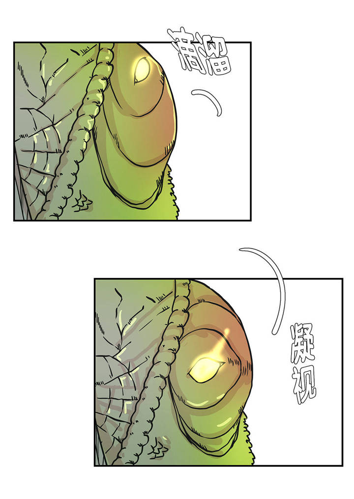 奇妙的动物主题课程漫画,第32章：我不是故意的2图