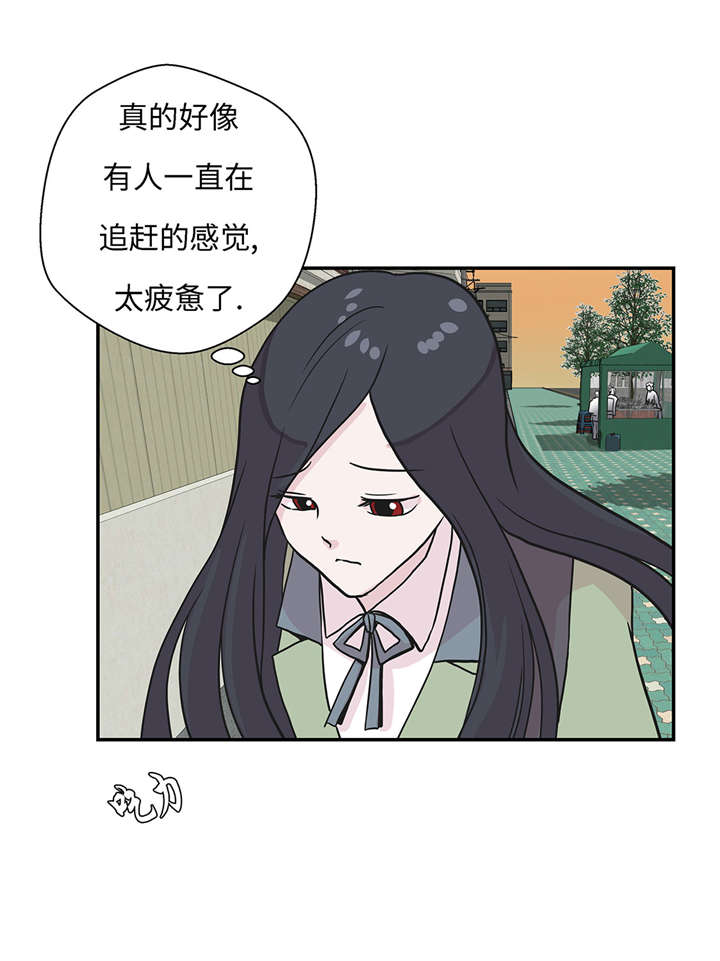 奇妙的动物主题课程漫画,第21章：有人跟踪2图