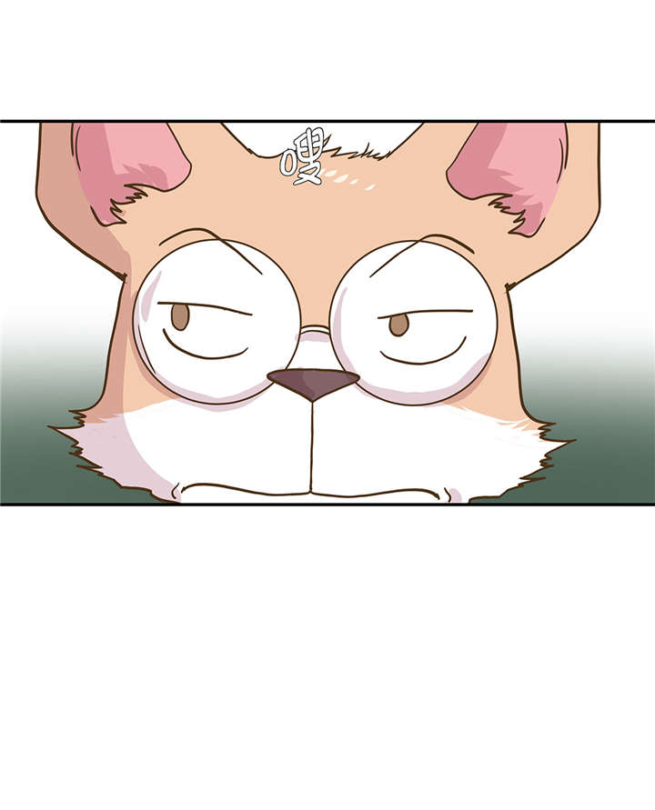 奇妙的动物主题课程漫画,第16章：狮子莱昂2图