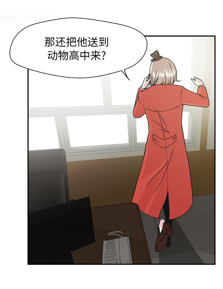 奇妙的动物主题课程漫画,第73章：执意要来2图
