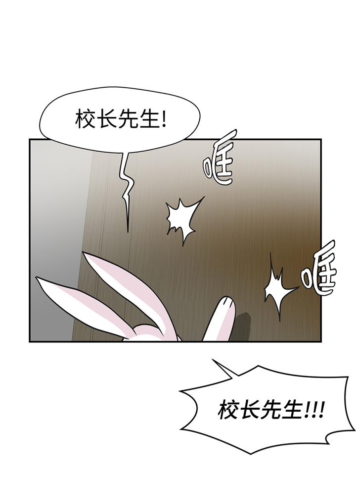 奇妙的动物主题课程漫画,第75章：真是搞笑2图