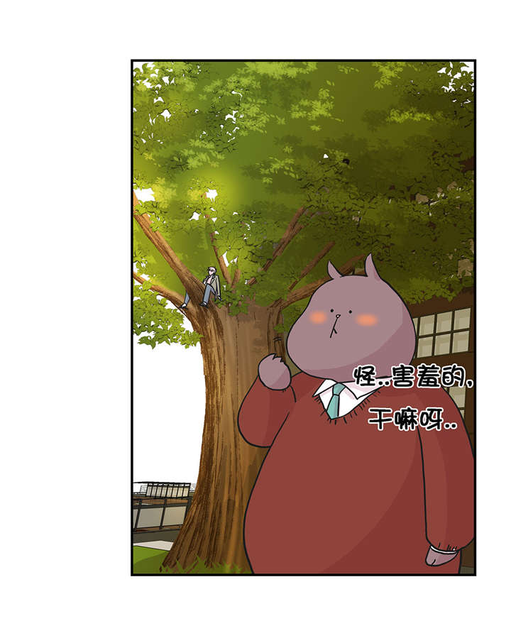 奇妙的动物主题课程漫画,第20章：漂亮的名字2图