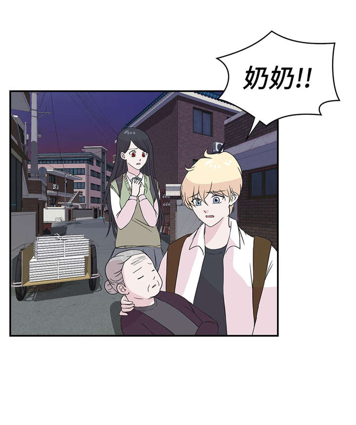奇妙的动物主题课程漫画,第52章： 被杀之前2图
