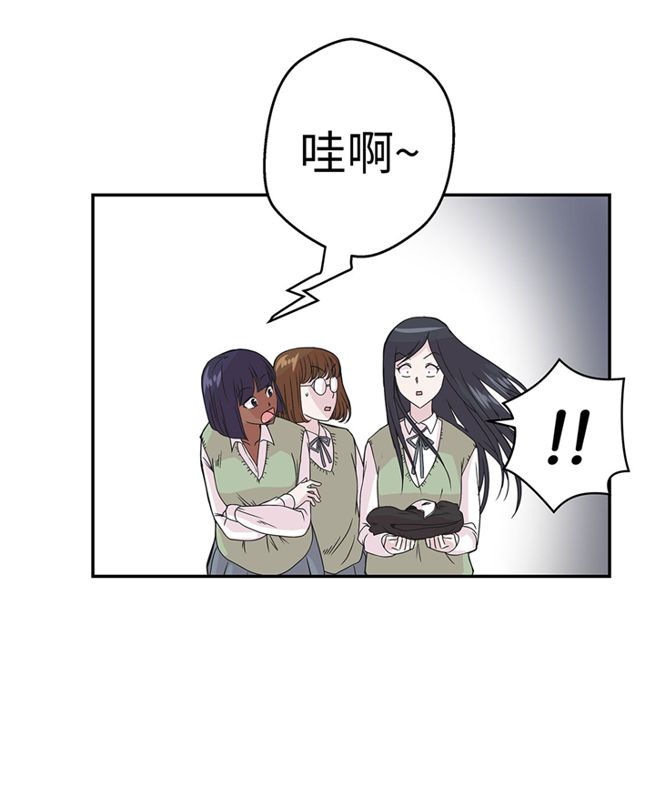奇妙的动物主题课程漫画,第74章：真是搞笑1图