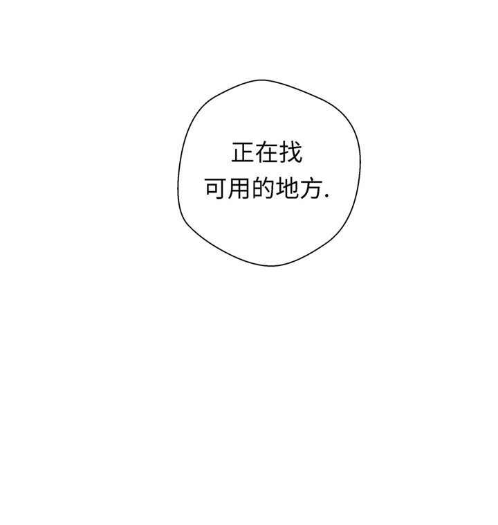 奇妙的动物主题课程漫画,第57章：不放过任何一个机会1图