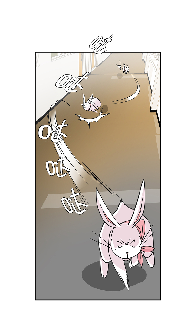 奇妙的动物主题课程漫画,第75章：真是搞笑1图