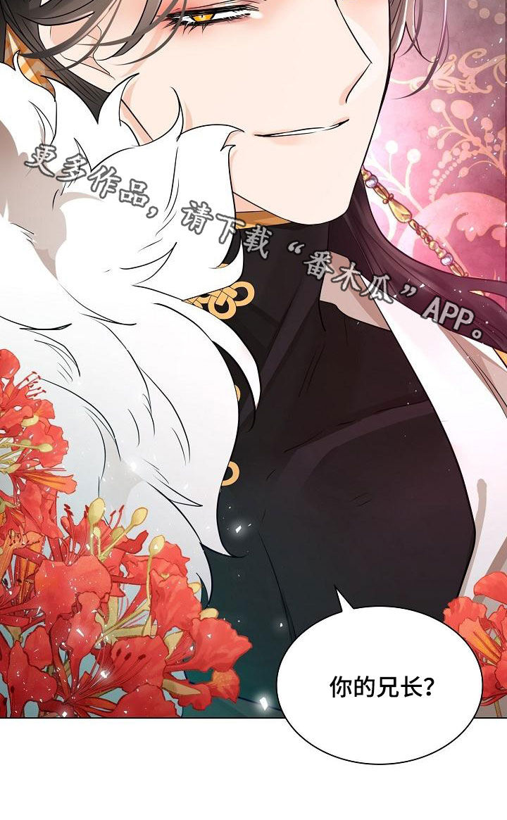 无处可逃风起歌漫画,第76章：【第二季】拜见1图