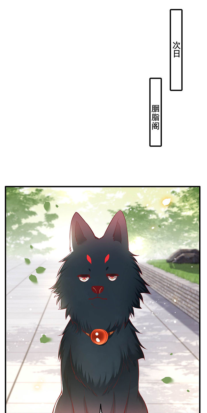 这个王妃有点皮小说漫画,第69章：老娘非北阴不嫁2图
