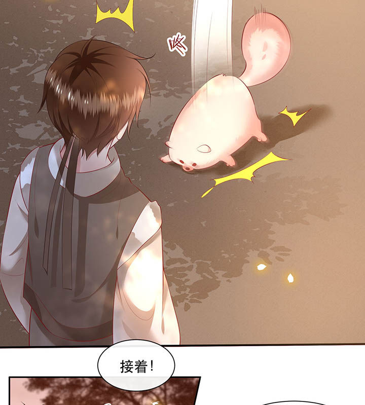 这个王妃有点皮小说漫画,第108章：东宫出事了！1图