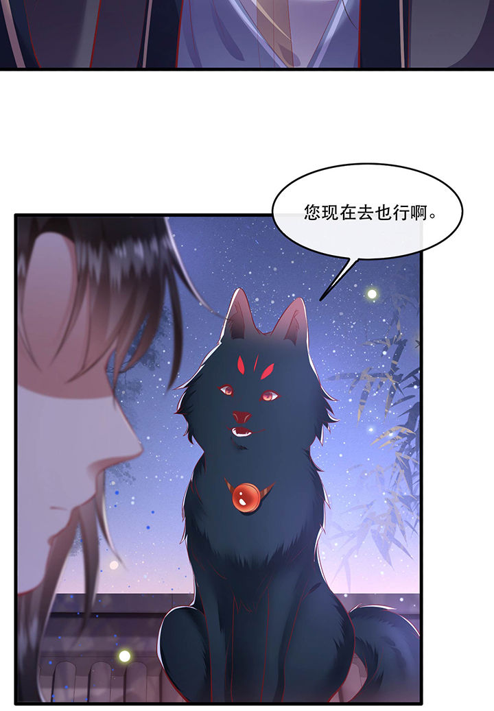这个王妃有点皮小说漫画,第69章：老娘非北阴不嫁1图