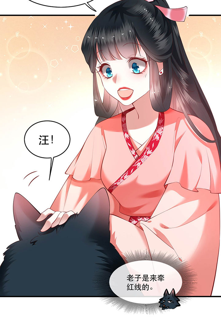 这个王妃有点皮小说漫画,第54章：学会给主人捡东西了！2图