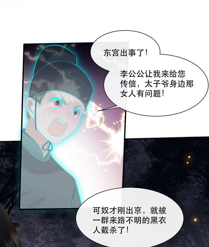 这个王妃有点皮小说漫画,第108章：东宫出事了！1图