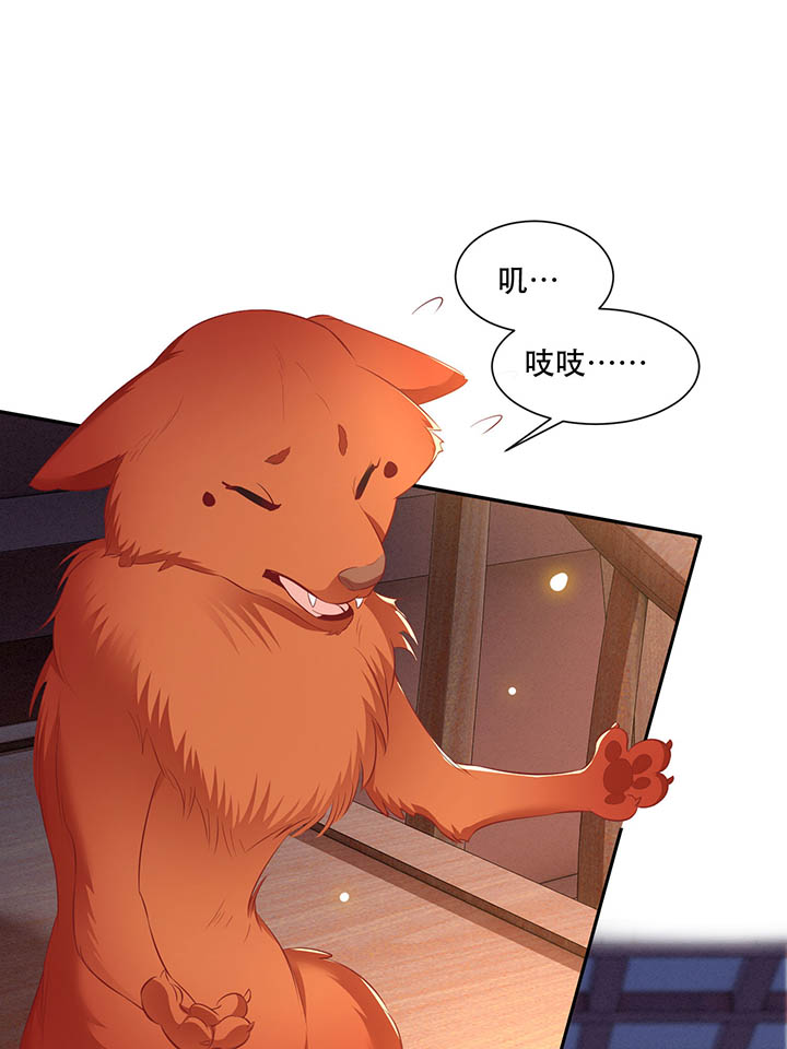 这个王妃有点皮小说漫画,第110章：赶紧把裤子脱了1图