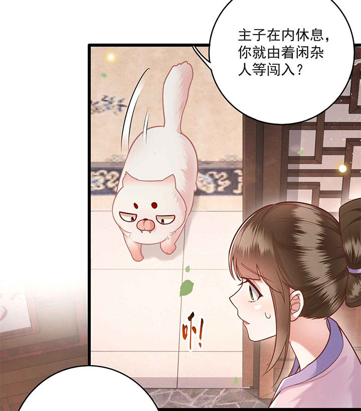 这个王妃有点皮小说漫画,第13章：把狗牵到主人面前打1图