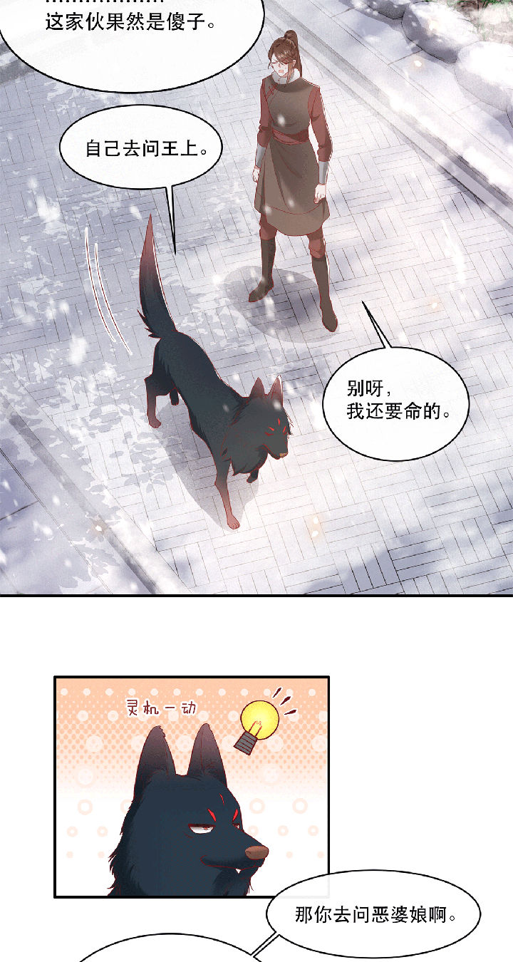 这个王妃有点皮小说漫画,第115章：她天残地缺啊2图