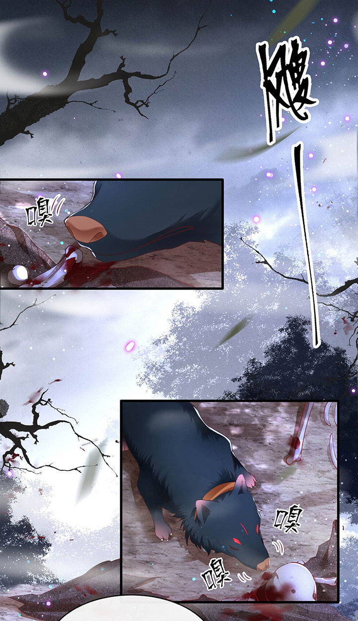 这个王妃有点皮小说漫画,第54章：学会给主人捡东西了！2图