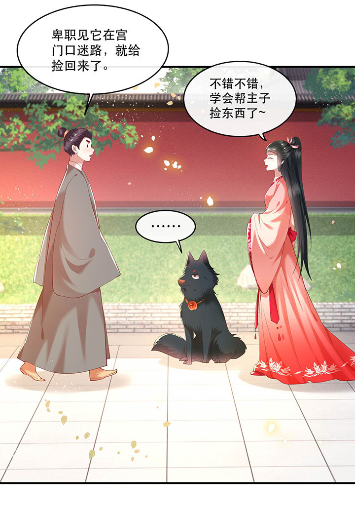 这个王妃有点皮小说漫画,第54章：学会给主人捡东西了！1图