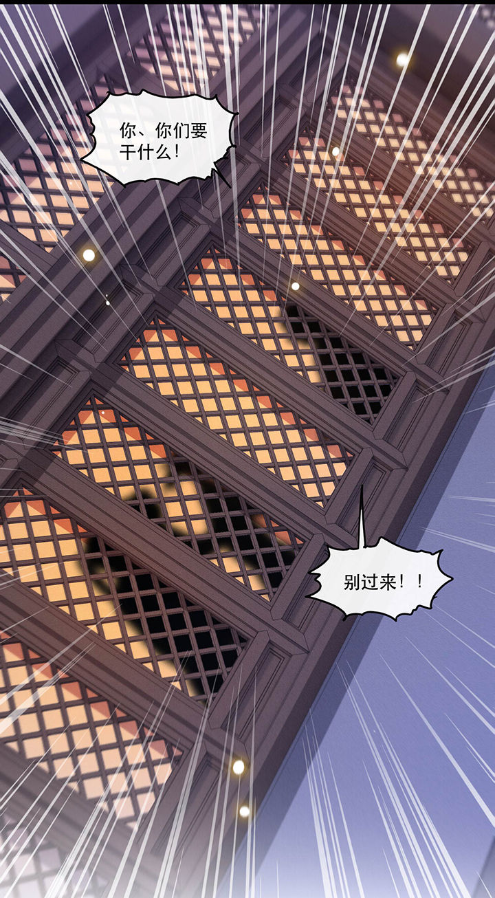 这个王妃有点皮小说漫画,第56章：取尔等性命之人！2图