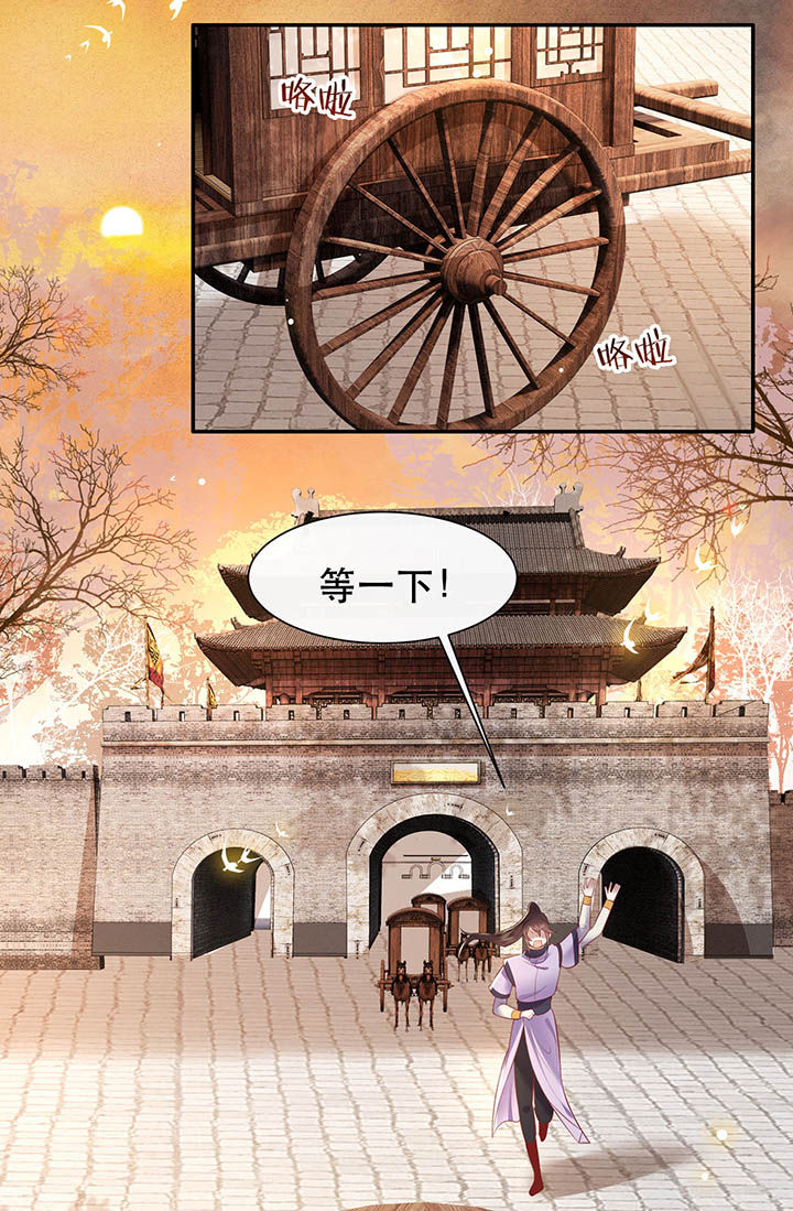 这个王妃有点皮小说漫画,第108章：东宫出事了！2图