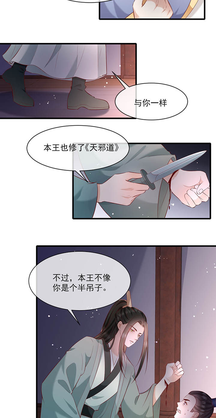 这个王妃有点皮小说漫画,第167章：大型精分现场2图